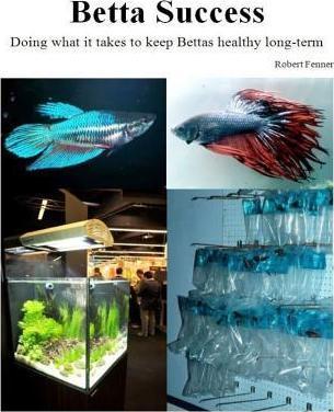 Betta Success: Doing what it takes to keep Bettas healthy long-term - Robert Fenner