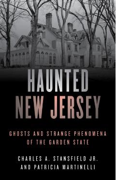 Haunted New Jersey: Ghosts and Strange Phenomena of the Garden State - Patricia A. Martinelli