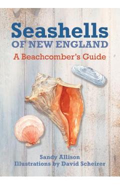 Coperta cărții 'Seashells of New England: A Beachcomber's Guide - J. Duane Sept'