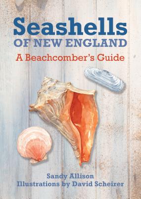 Seashells of New England: A Beachcomber's Guide - J. Duane Sept