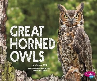 Great Horned Owls - Gail Saunders-smith