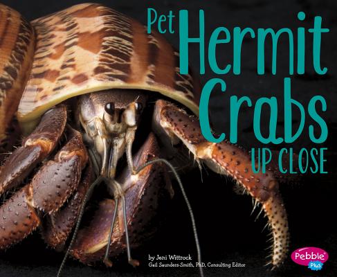 Pet Hermit Crabs Up Close - Gail Saunders-smith
