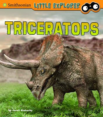 Triceratops - Janet Riehecky