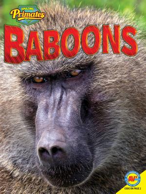 Baboons - Alexis Roumanis