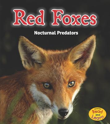 Red Foxes: Nocturnal Predators - Rebecca Rissman