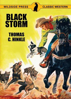 Black Storm - Thomas C. Hinkle