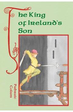 Coperta cărții 'The King of Ireland's Son - Willy Pogany'