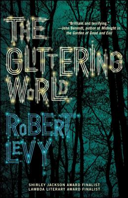 The Glittering World: A Book Club Recommendation! - Robert Levy