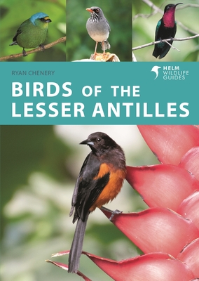 Birds of the Lesser Antilles - Ryan Chenery