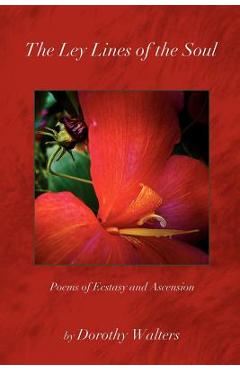 Coperta cărții 'The Ley Lines of the Soul: Poems of Ecstasy and Ascension - Dorothy Walters'