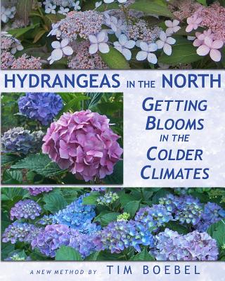 Hydrangeas in the North: Getting Blooms in the Colder Climates - Tim Boebel