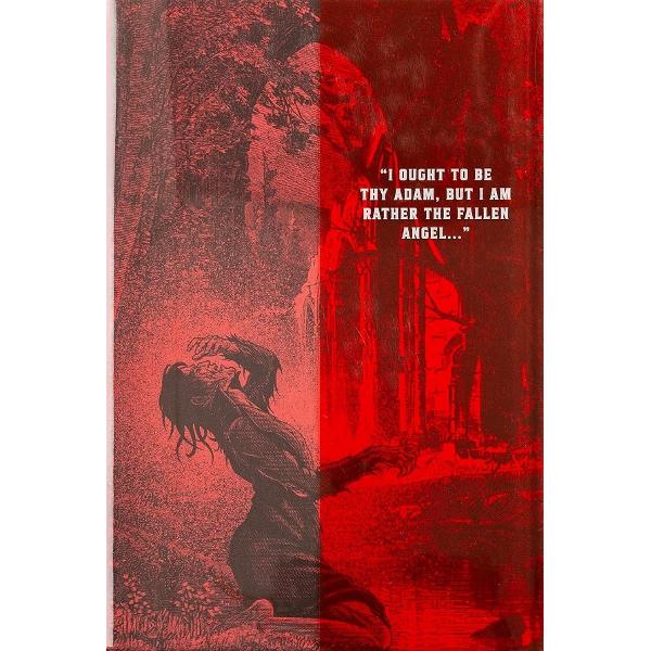 Frankenstein. Deluxe Edition - Mary Shelley