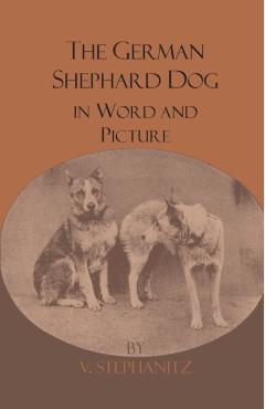 The German Shepherd Dog In Word And Picture - V. Stephanitz