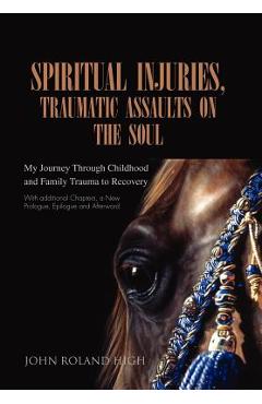 Coperta cărții 'Spiritual Injuries, Traumatic Assaults on the Soul: My Journey Through Childhood and Family Trauma to Recovery - John'