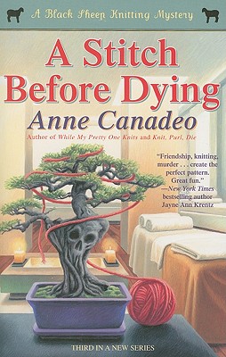 Coperta cărții 'A Stitch Before Dying - Anne Canadeo'