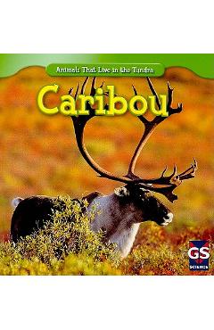 Coperta cărții 'Caribou - Roman Patrick'