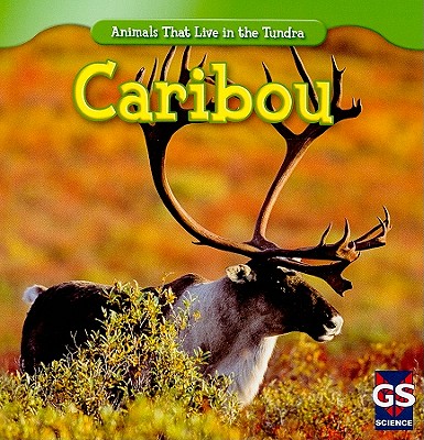 Coperta cărții 'Caribou - Roman Patrick'