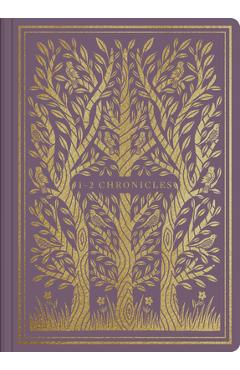 Coperta cărții 'ESV Illuminated Scripture Journal: 1-2 Chronicles -'