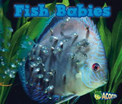 Fish Babies - Catherine Veitch