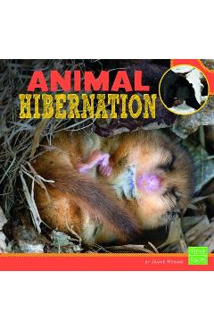 Coperta cărții 'Animal Hibernation - Bernd Heinrich'