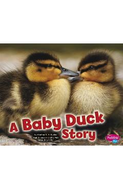 Poza produsului A Baby Duck Story - Martha E. H. Rustad