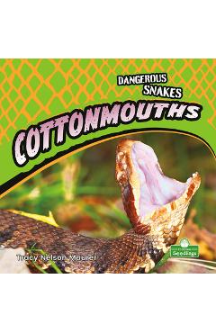 Coperta cărții 'Cottonmouths - Tracy Nelson Maurer'