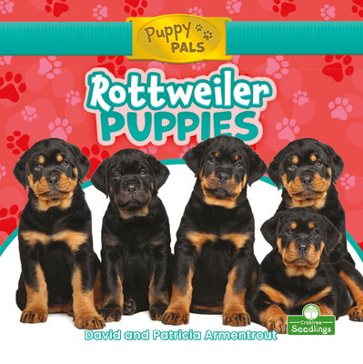 Rottweiler Puppies - David Armentrout