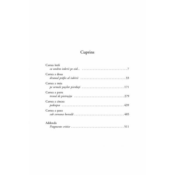 Nesfirsitele primejdii - Mircea Horia Simionescu