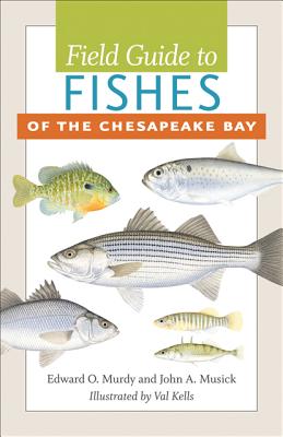 Field Guide to Fishes of the Chesapeake Bay - Edward O. Murdy