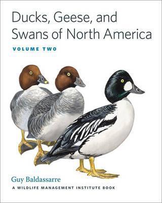 Ducks, Geese, and Swans of North America - Guy Baldassarre