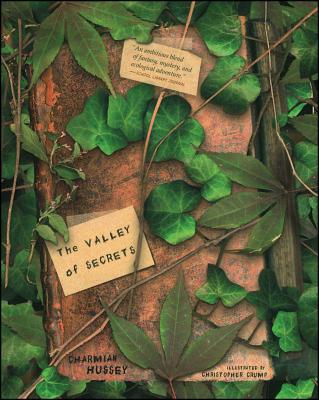The Valley of Secrets - Charmian Hussey