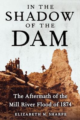 In the Shadow of the Dam: The Aftermath of the Mill River Flood of 1874 - Elizabeth M. Sharpe