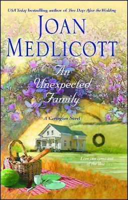 An Unexpected Family - Joan Medlicott