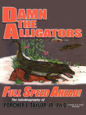 Damn the Alligators Full Speed Ahead - Porcher L'engle Taylor