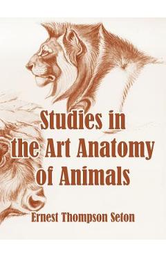 Coperta cărții 'Studies in the Art Anatomy of Animals - Ernest Thompson Seton'
