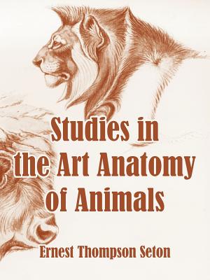 Studies in the Art Anatomy of Animals - Ernest Thompson Seton