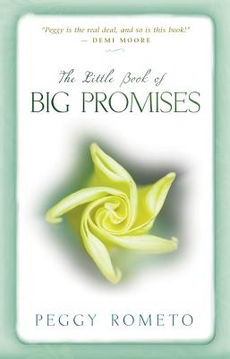 Little Book of Big Promises - Peggy Rometo