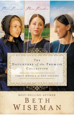 The Daughters of the Promise Collection: Plain Promise/Plain Paradise/Plain Proposal - Beth Wiseman