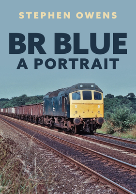 Br Blue: A Portrait - Stephen Owens