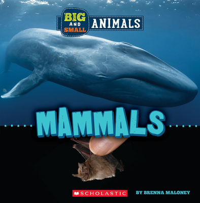 Mammals (Wild World: Big and Small Animals) - Brenna Maloney