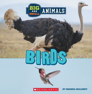 Birds (Wild World: Big and Small Animals) - Brenna Maloney