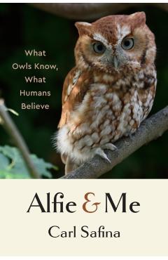 Alfie and Me: What Owls Know, What Humans Believe - Carl Safina