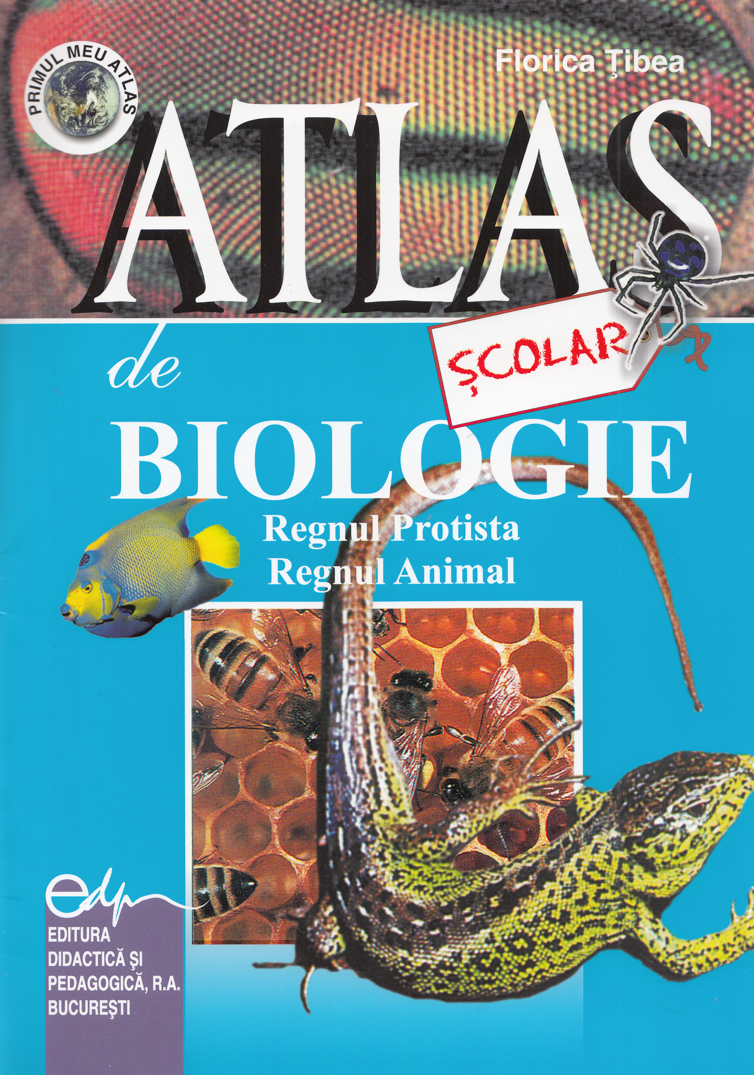 Atlas scolar de biologie. Regnul protista. Regnul animal - Florica Tibea