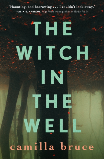 The Witch in the Well - Camilla Bruce