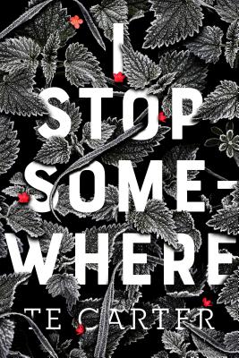 I Stop Somewhere - Te Carter