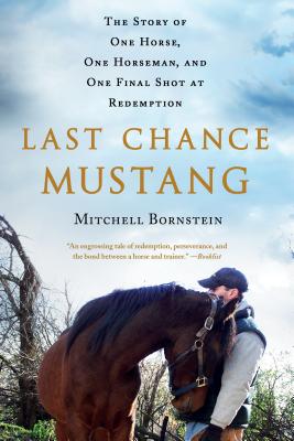 Last Chance Mustang: The Story of One Horse, One Horseman, and One Final Shot at Redemption - Mitchell Bornstein