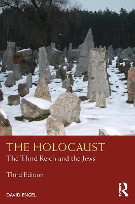 The Holocaust: The Third Reich and the Jews - David Engel