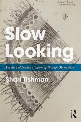 Slow Looking: The Art and Practice of Learning Through Observation - Shari Tishman