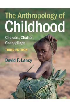 The Anthropology of Childhood: Cherubs, Chattel, Changelings - David F. Lancy