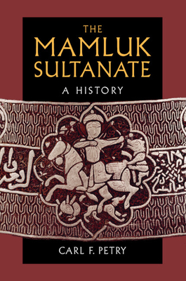 The Mamluk Sultanate: A History - Carl F. Petry